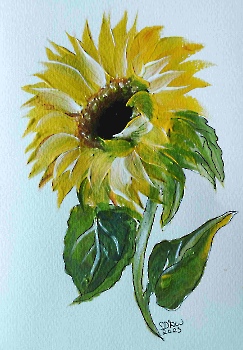 SONNENBLUME