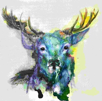 KÖNIG IN CYAN